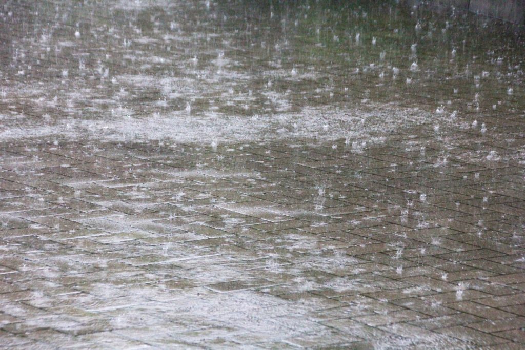 風雨　濡れる