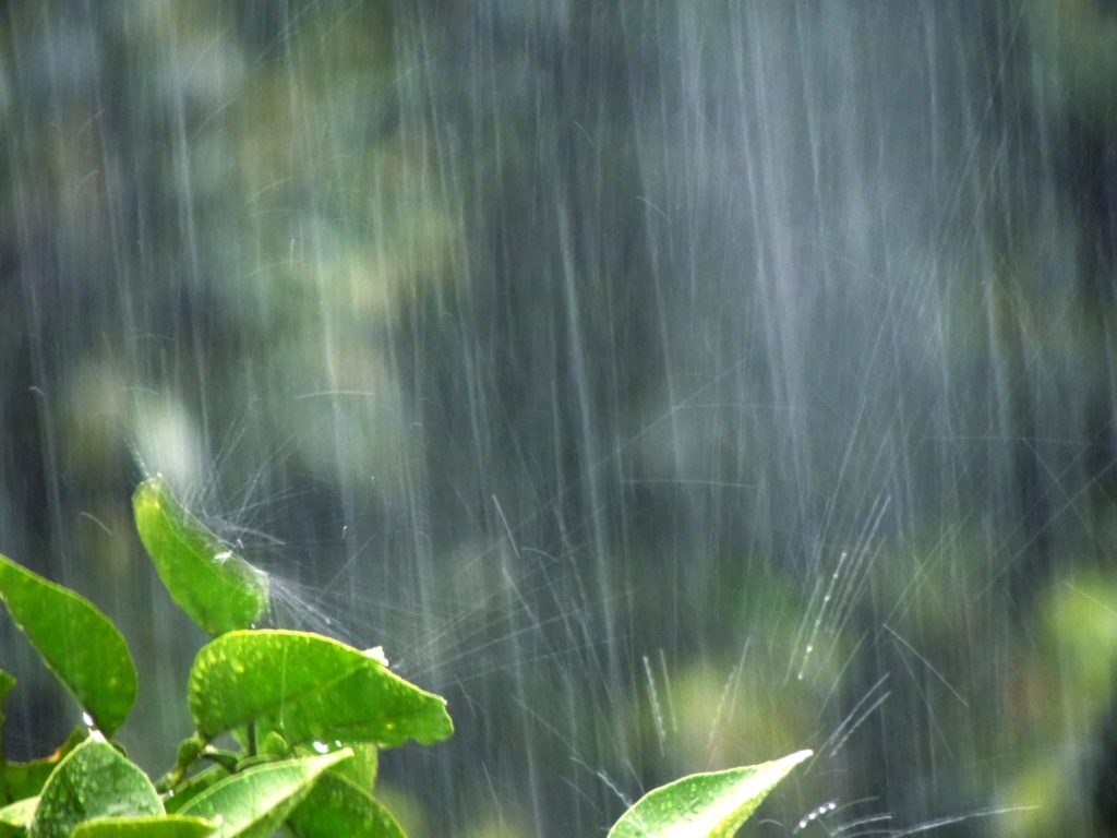 天窓　雨漏り